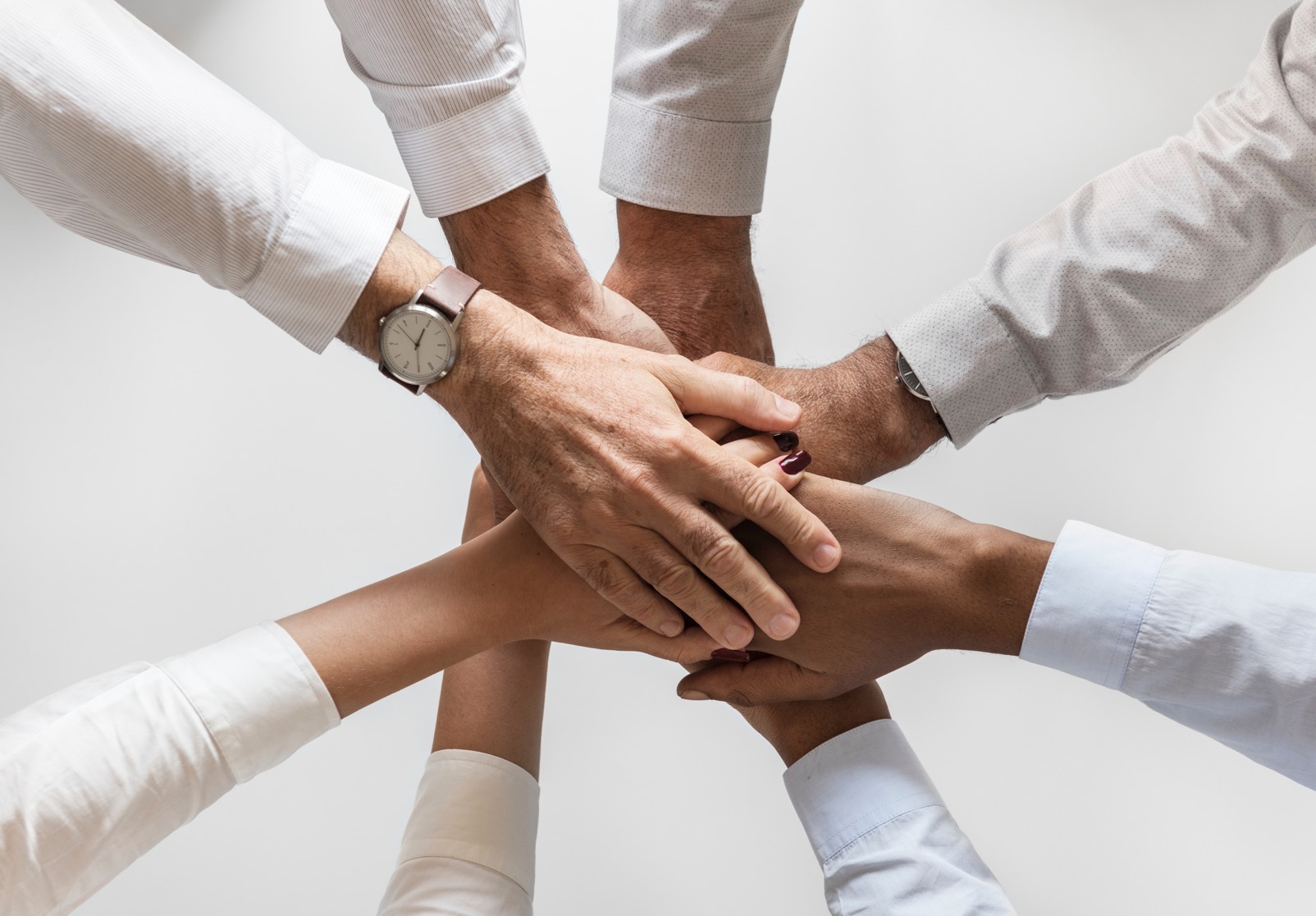 Colleagues collaborating